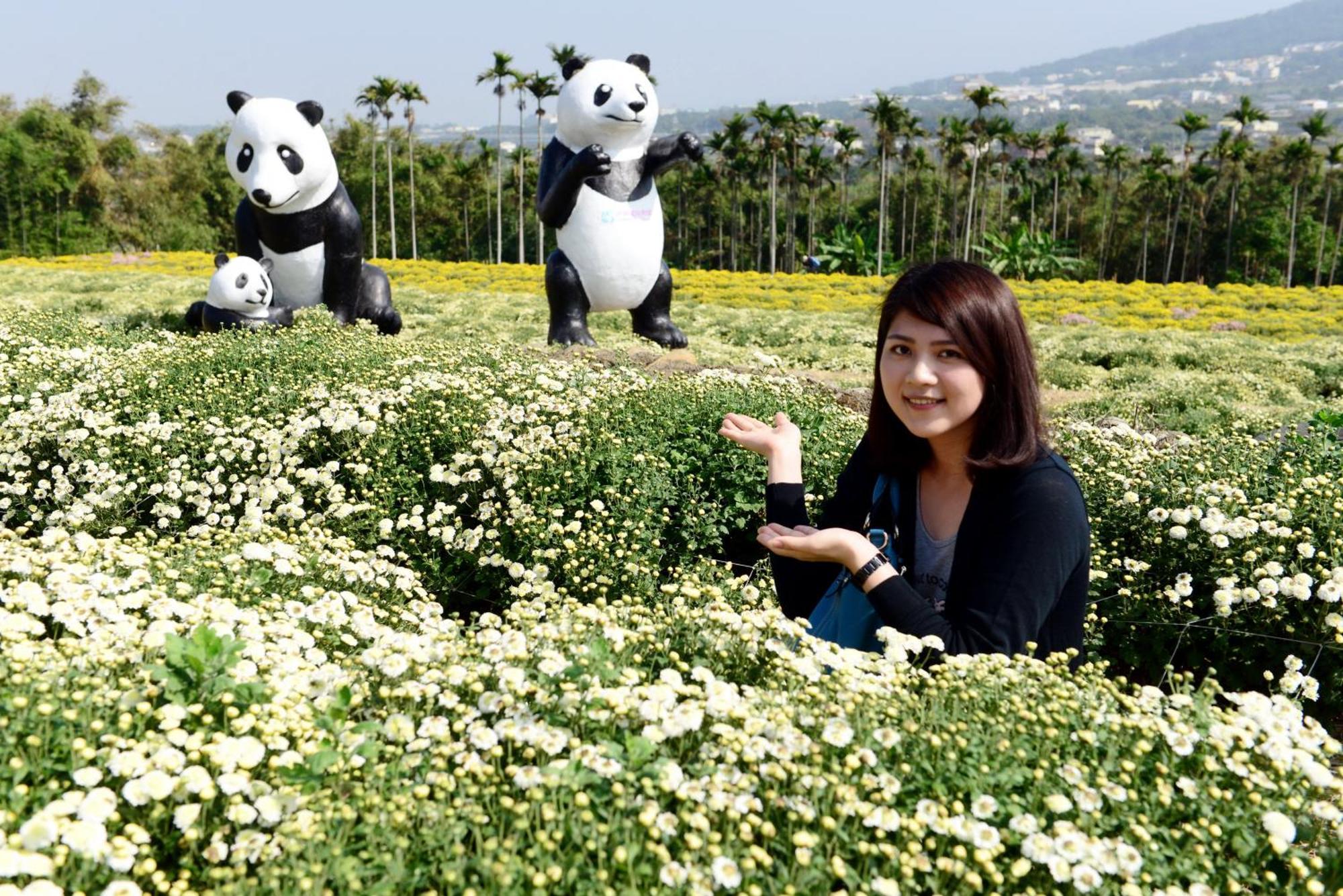 Miaoli Sanyi Shantongyazhu Homestay ภายนอก รูปภาพ