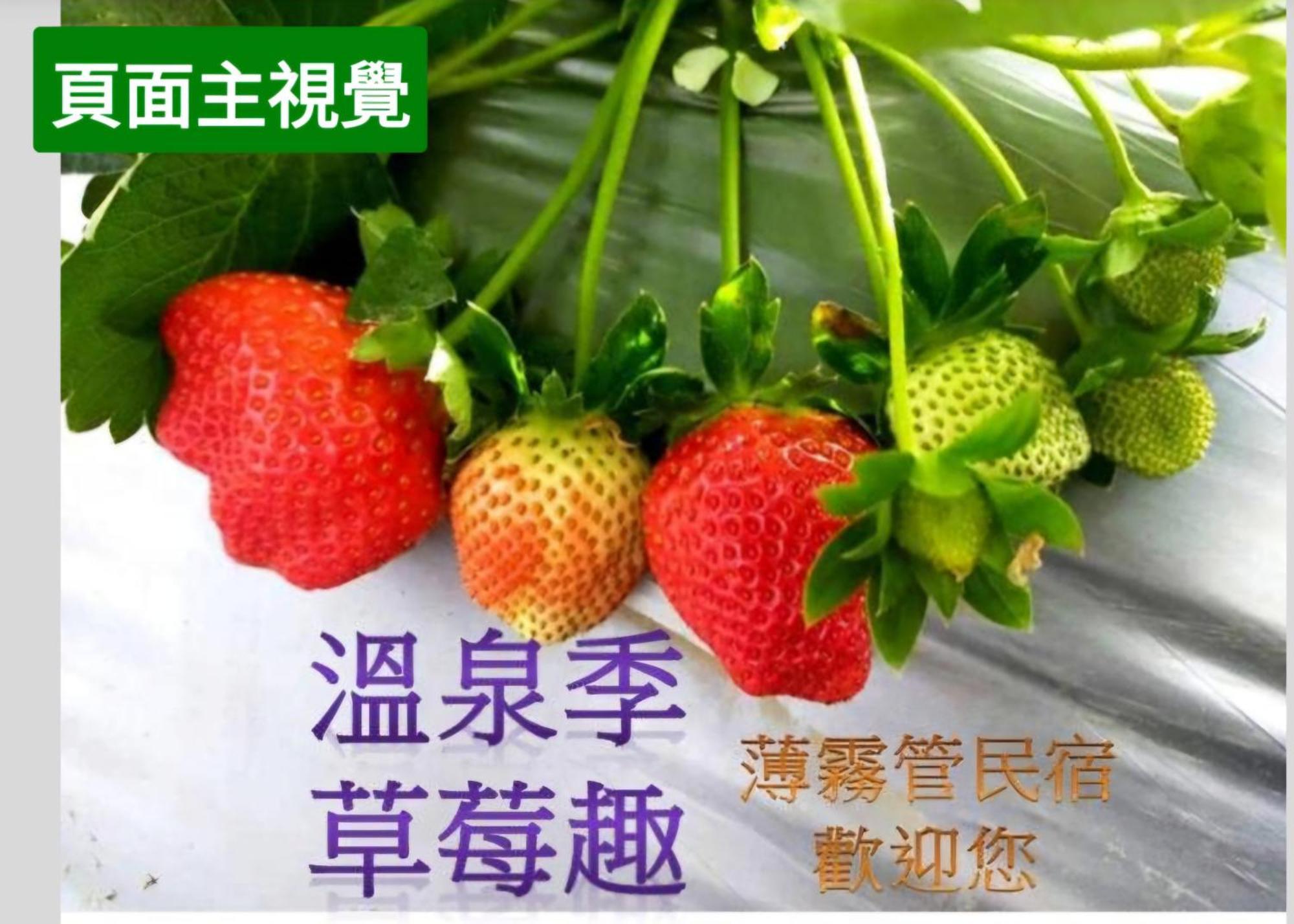 Miaoli Sanyi Shantongyazhu Homestay ภายนอก รูปภาพ