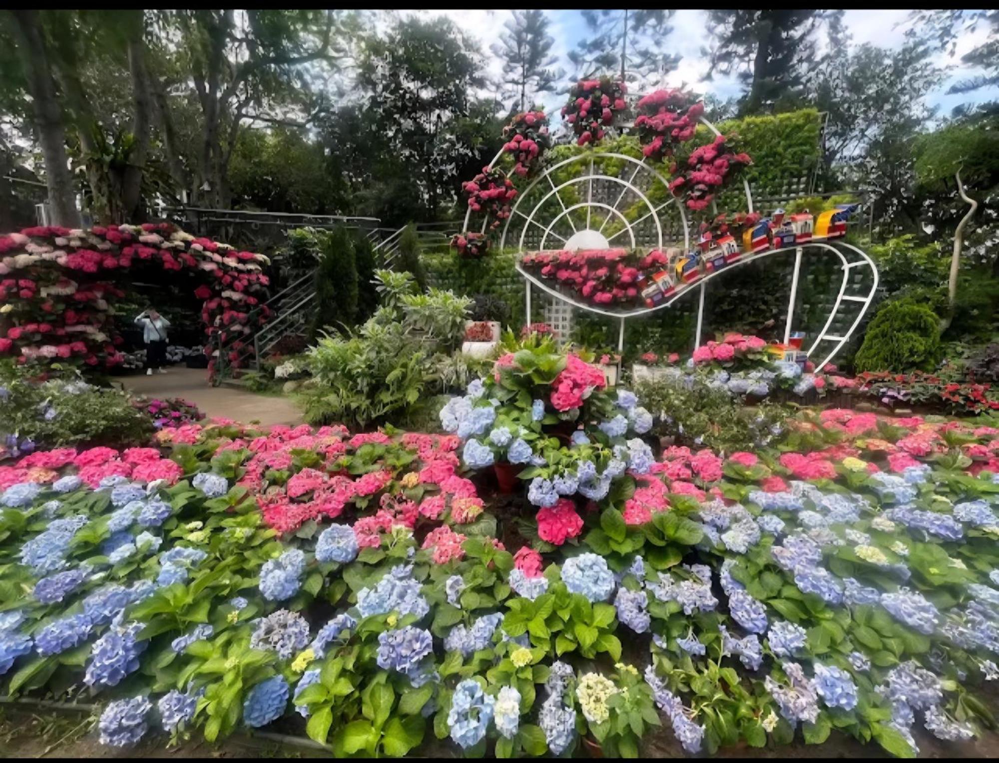 Miaoli Sanyi Shantongyazhu Homestay ภายนอก รูปภาพ